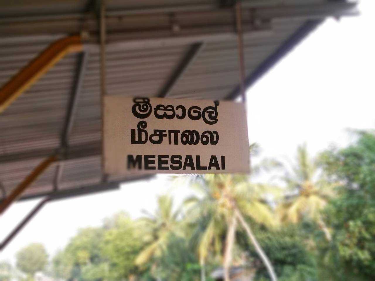 மீசாலை